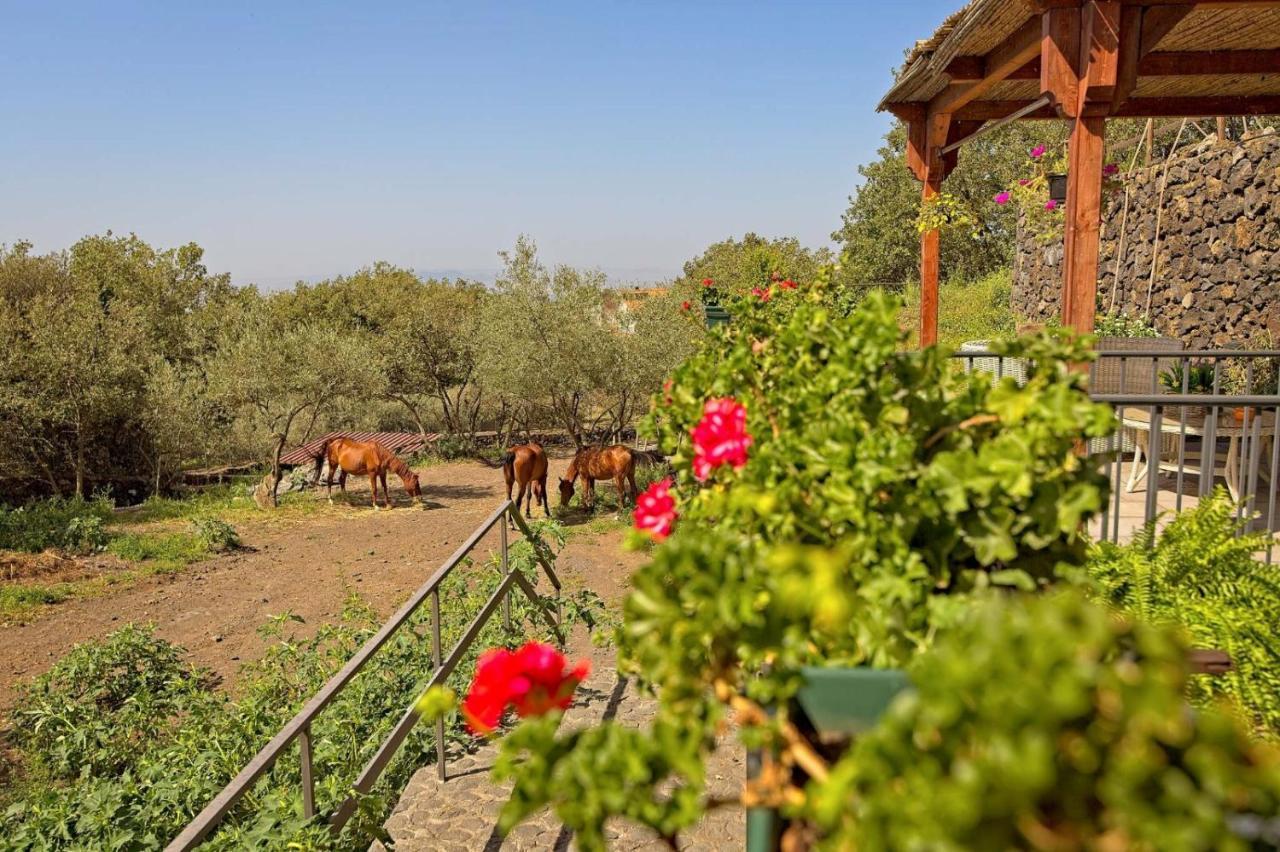 Horse House Apartamento Ragalna Exterior foto